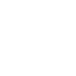 schulp